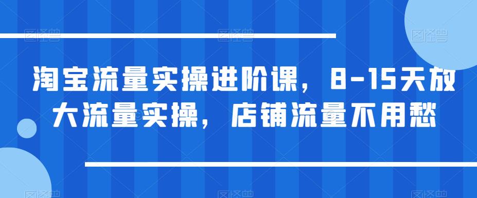 淘宝流量实操进阶课，8-15天放大流量实操，店铺流量不用愁-千城资源网