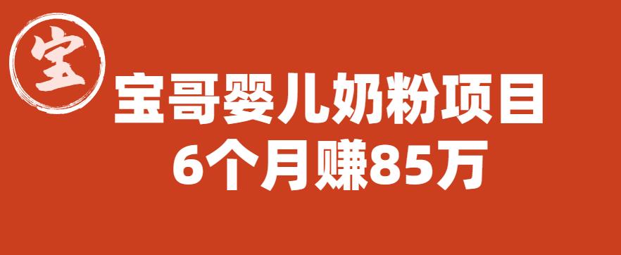 宝哥婴儿奶粉项目，6个月赚85w【图文非视频】【揭秘】-千城资源网
