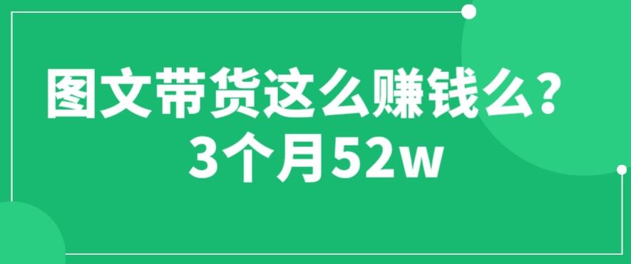 图文带货这么赚钱么? 3个月52W 图文带货运营加强课【揭秘】-千城资源网
