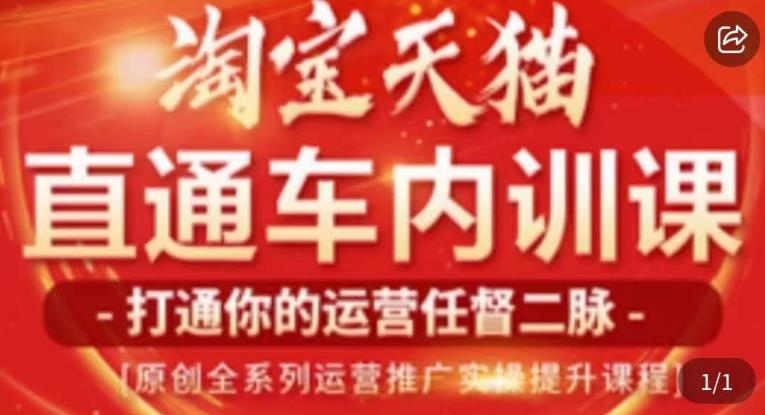 天问电商·2023淘宝天猫直通车内训课，零基础学起直通车运营实操课程-千城资源网