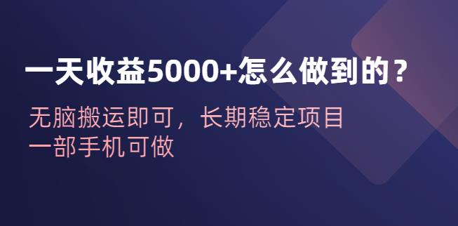 一天收益5000+怎么做到的？无脑搬运即可，长期稳定项目，一部手机可做【揭秘】-千城资源网