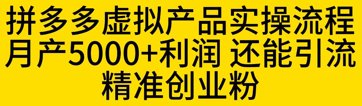 拼多多虚拟产品实操流程，月产5000+利润，还能引流精准创业粉【揭秘】-千城资源网