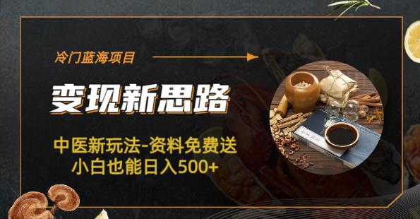 冷门蓝海项目-中医新玩法-资料免费送小白也能日入500+【揭秘】-千城资源网
