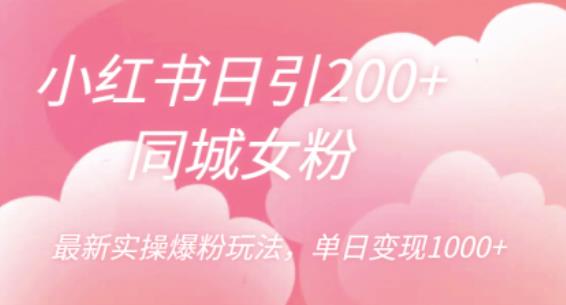 小红书日引200+同城女粉，最新实操爆粉玩法，单日变现1000+【揭秘】-千城资源网
