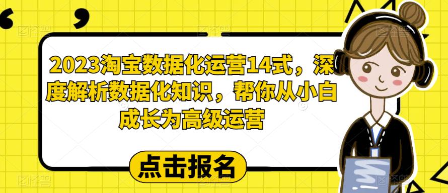 2023淘宝数据化运营14式，深度解析数据化知识，帮你从小白成长为高级运营-千城资源网