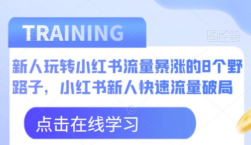 新人玩转小红书流量暴涨的8个野路子，小红书新人快速流量破局-千城资源网