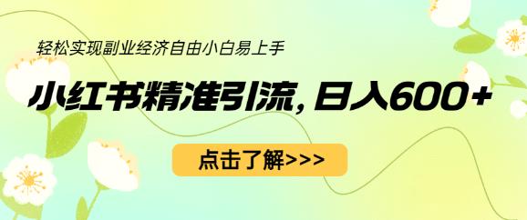 小红书精准引流，小白日入600+，轻松实现副业经济自由（教程+1153G资源）-千城资源网