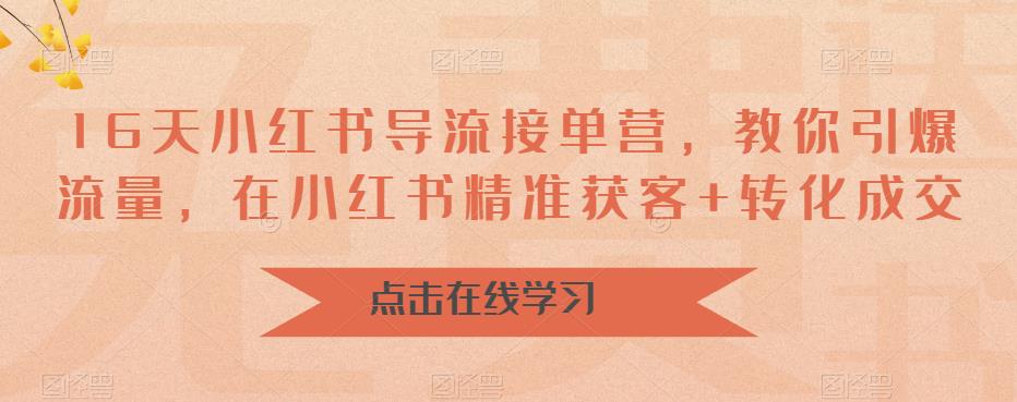 16天小红书导流接单营，教你引爆流量，在小红书精准获客+转化成交-千城资源网