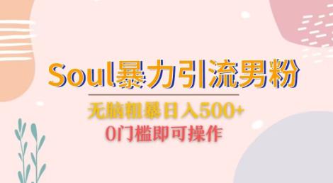 Soul暴力引流男粉玩法，无脑粗暴日入500＋，0门槛即可操作【揭秘】-千城资源网