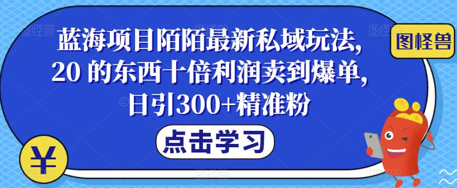 蓝海项目陌陌最新私域玩法，20 的东西十倍利润卖到爆单，日引300+精准粉【揭秘】-千城资源网