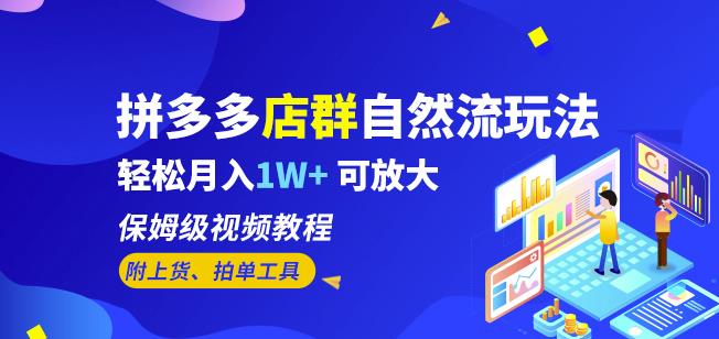 拼多多店群自然流玩法，轻松月入1W+保姆级视频教程（附上货、拍单工具）-千城资源网