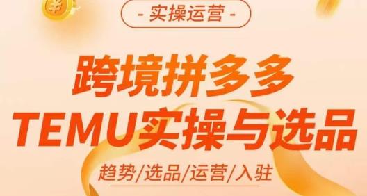 伍跃·跨境拼多多TEMU实操与选品，​趋势/选品/运营/入住（27节完整）-千城资源网