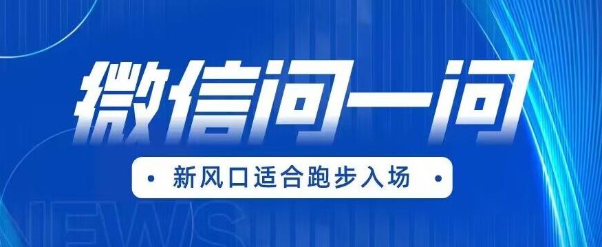 全网首发微信问一问新风口变现项目（价值1999元）【揭秘】-千城资源网