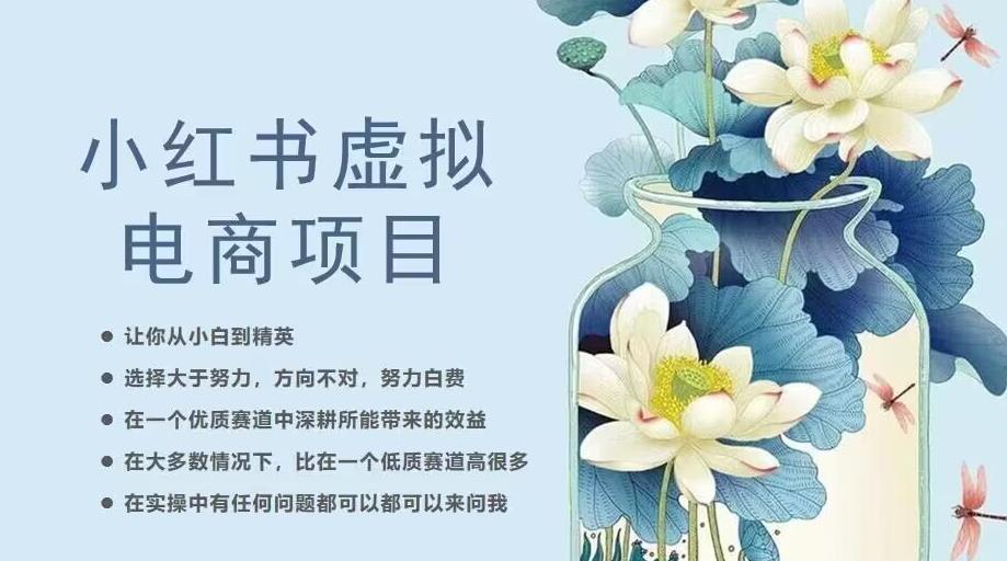 小红书虚拟电商从0到1，让你从小白到精英（20节实操课程）-千城资源网