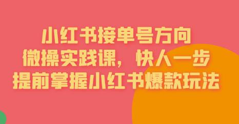 接单号方向·小红书微操实践课，快人一步，提前掌握小红书爆款玩法-千城资源网
