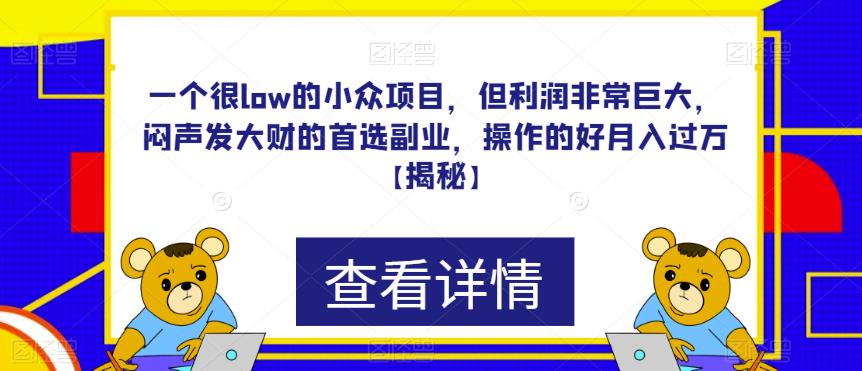 一个很low的小众项目，但利润非常巨大，闷声发大财的首选副业，操作的好月入过万【揭秘】-千城资源网