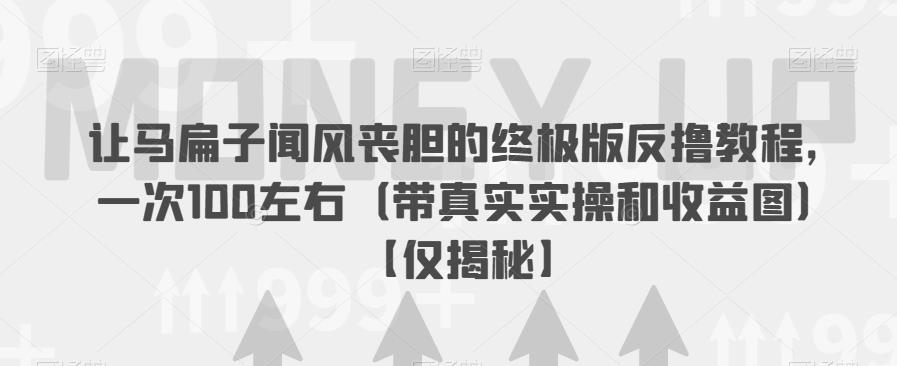 让马扁子闻风丧胆的终极版反撸教程，一次100左右（带真实实操和收益图）【仅揭秘】-千城资源网