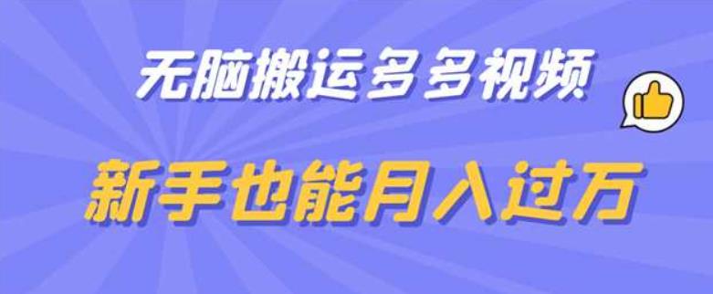 无脑搬运多多视频，新手也能月入过万【揭秘】-千城资源网