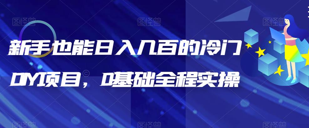 新手也能日入几百的冷门DIY项目，0基础全程实操【揭秘】-千城资源网