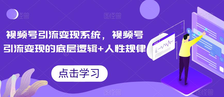 视频号引流变现系统，视频号引流变现的底层逻辑+人性规律-千城资源网