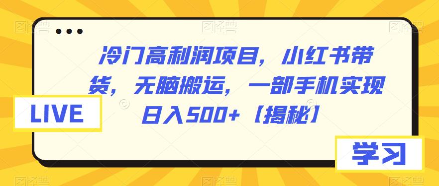 冷门高利润项目，小红书带货，无脑搬运，一部手机实现日入500+【揭秘】-千城资源网