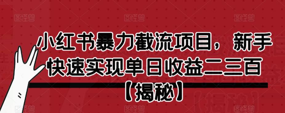 小红书暴力截流项目，新手快速实现单日收益二三百【仅揭秘】-千城资源网