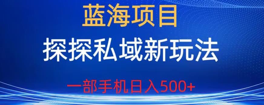 蓝海项目，探探私域新玩法，一部手机日入500+很轻松【揭秘】-千城资源网