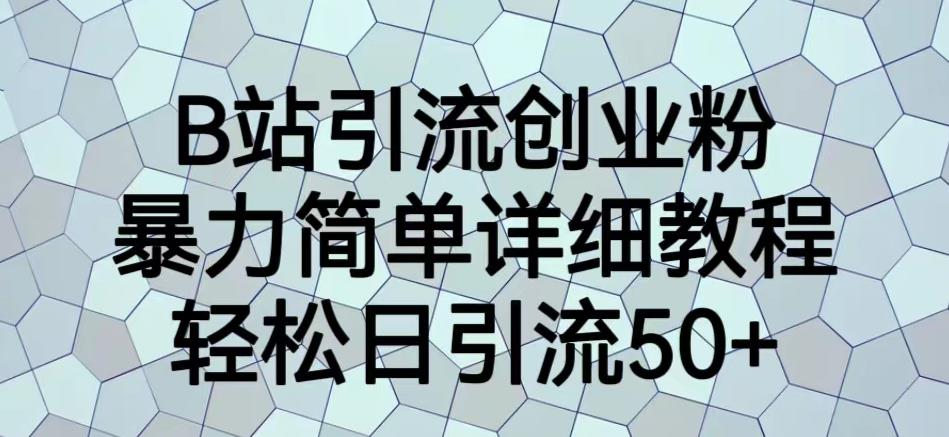 B站引流创业粉，暴力简单详细教程，轻松日引流50+【揭秘】-千城资源网
