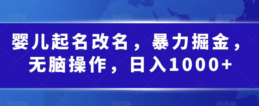 婴儿起名改名，暴力掘金，无脑操作，日入1000+【揭秘】-千城资源网