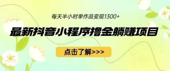 最新抖音小程序撸金躺赚项目，一部手机每天半小时，单个作品变现1300+【揭秘】-千城资源网