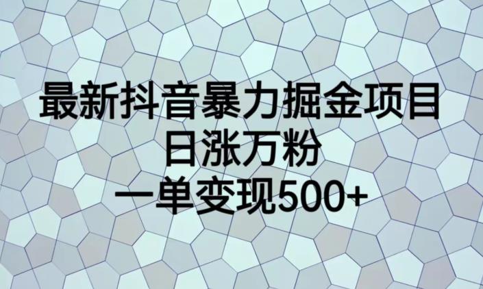最新抖音暴力掘金项目，日涨万粉，一单变现500+【揭秘】-千城资源网