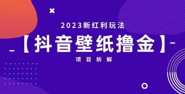 抖音壁纸小程序创作者撸金项目，2023新红利玩法【项目拆解】-千城资源网