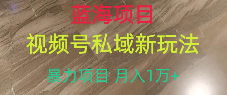 蓝海项目，视频号私域新玩法，暴力项目月入1万+【揭秘】-千城资源网