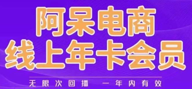 阿呆电商线上年会员，阿呆电商干货分享（更新中）-千城资源网