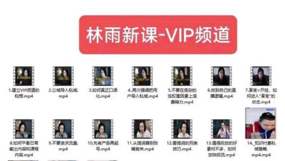 林雨新课VIP频道，玩赚私域/朋友圈/社群-千城资源网