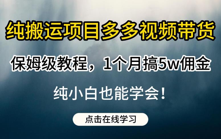 纯搬运项目多多视频带货保姆级教程，1个月搞5w佣金，纯小白也能学会【揭秘】-千城资源网
