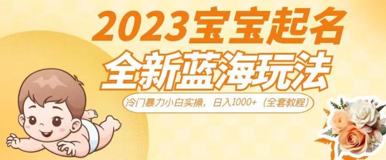 2023宝宝起名全新蓝海玩法，冷门暴力小白实操，日入1000+（全套教程）【揭秘】-千城资源网