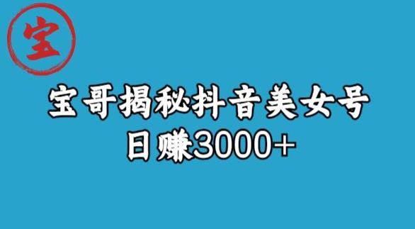 宝哥揭秘抖音美女号玩法，日赚3000+【揭秘】-千城资源网