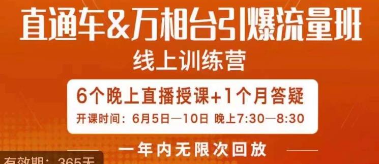 直通车&万相台引爆流量班，6天打通你开直通车·万相台的任督二脉-千城资源网
