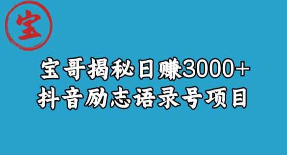 宝哥揭秘日赚3000+抖音励志语录号短视频变现项目-千城资源网