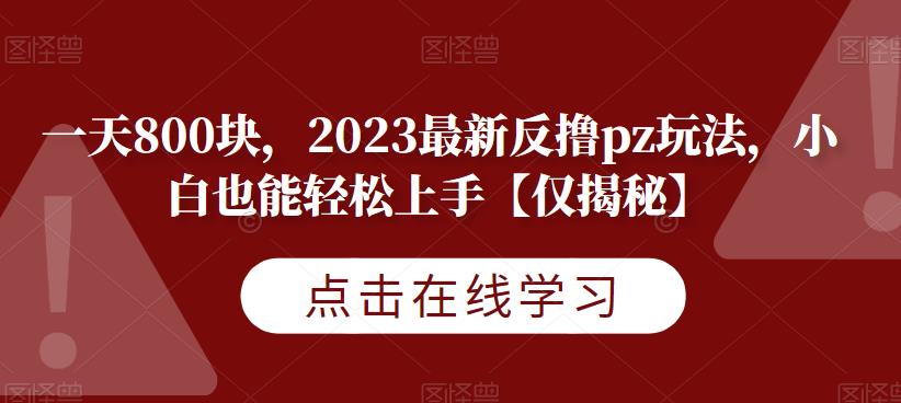 一天800块，2023最新反撸pz玩法，小白也能轻松上手【仅揭秘】-千城资源网