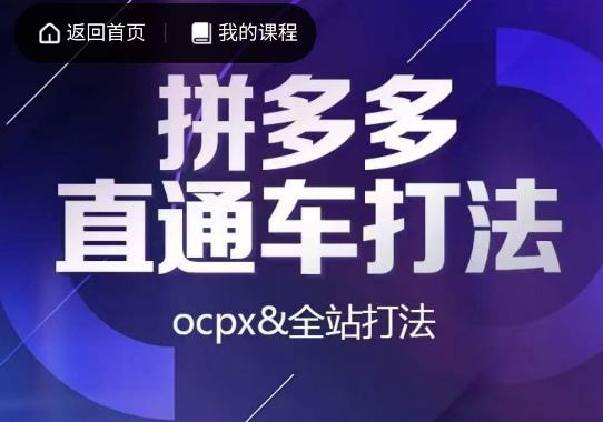 互力·拼多多直通车打法，ocpx&全站打法-千城资源网