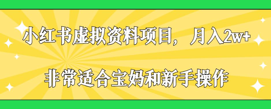 小红书虚拟资料项目，月入2w+，非常适合宝妈和新手操作【揭秘】-千城资源网