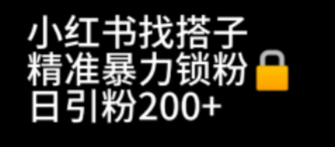 小红书找搭子暴力精准锁粉+引流日引200+精准粉-千城资源网
