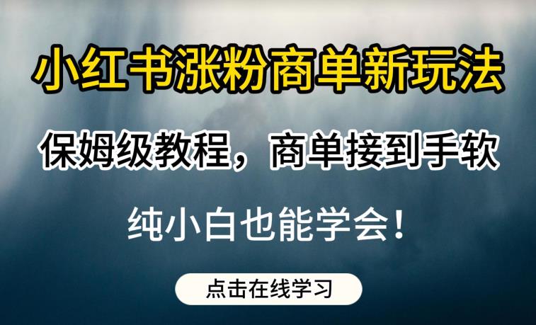 小红书涨粉商单新玩法，保姆级教程，商单接到手软，纯小白也能学会【揭秘】-千城资源网