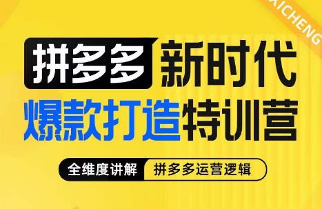 玺承·拼多多新时代爆款打造特训营，全维度讲解拼多多运营逻辑-千城资源网