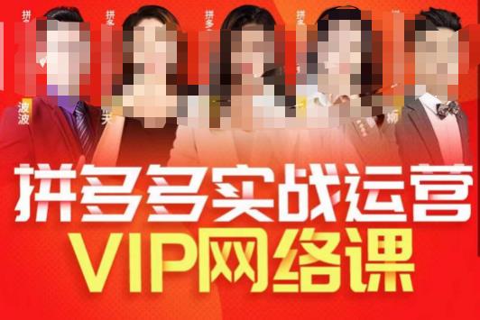 推易拼多多VIP全套直播课程，拼多多店铺实操玩法+实战玩法选款内功+直通车高阶等-千城资源网