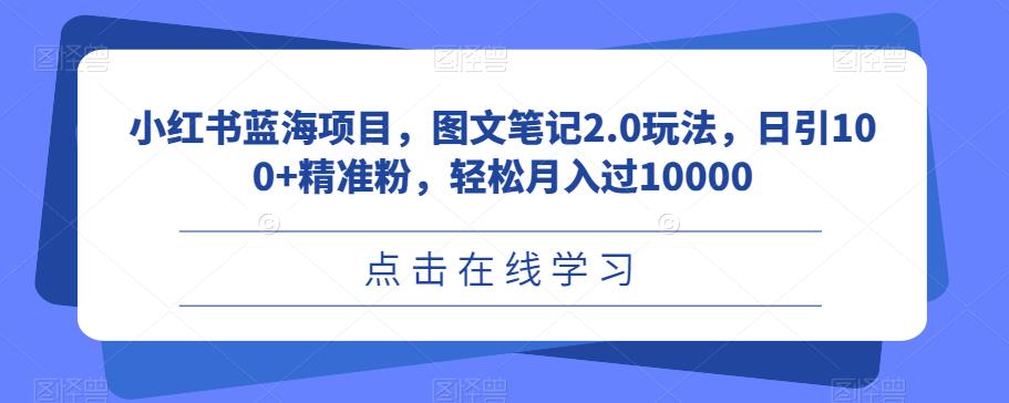 小红书蓝海项目，图文笔记2.0玩法，日引100+精准粉，轻松月入过10000【揭秘】-千城资源网