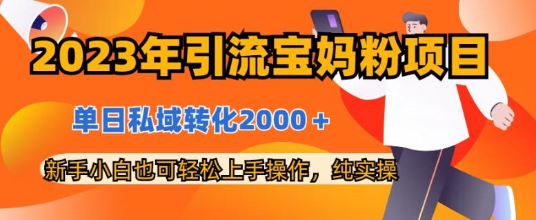 2023年引流宝妈粉项目，单日私域转化2000＋，新手小白也可轻松上手操作，纯实操-千城资源网