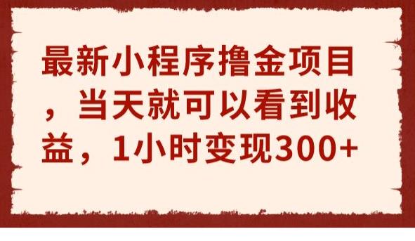 最新小程序撸金项目，当天就可以看到收益，1小时变现300+【揭秘】-千城资源网